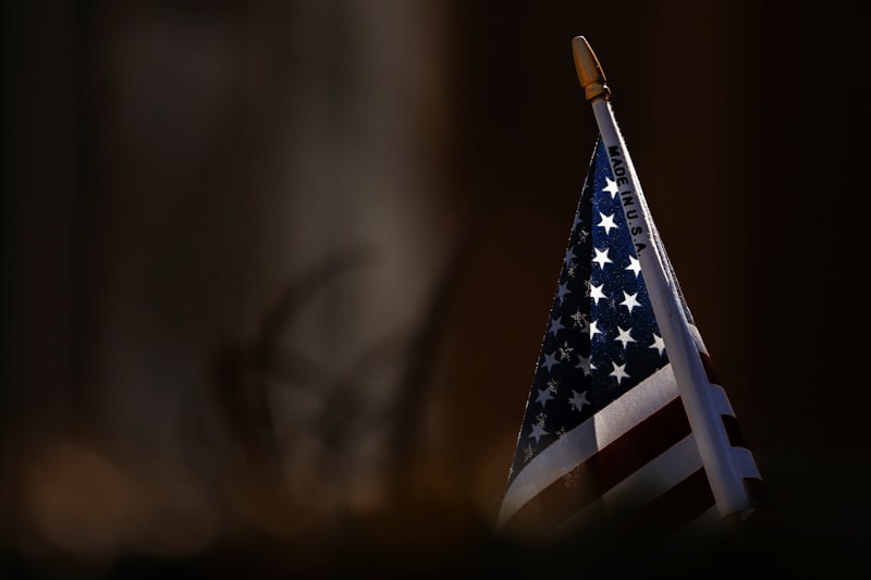 Amerika rehberi