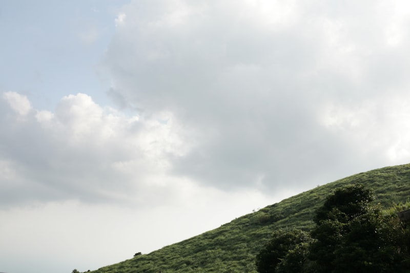 Doğu rehberi