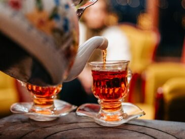 Fest travel yurtiçi gezileri