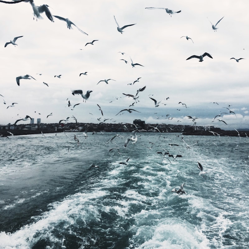 İstanbul karadeniz gezilecek yerler