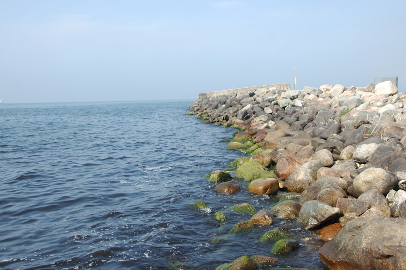 Karadeniz rehber Karadeniz rehber