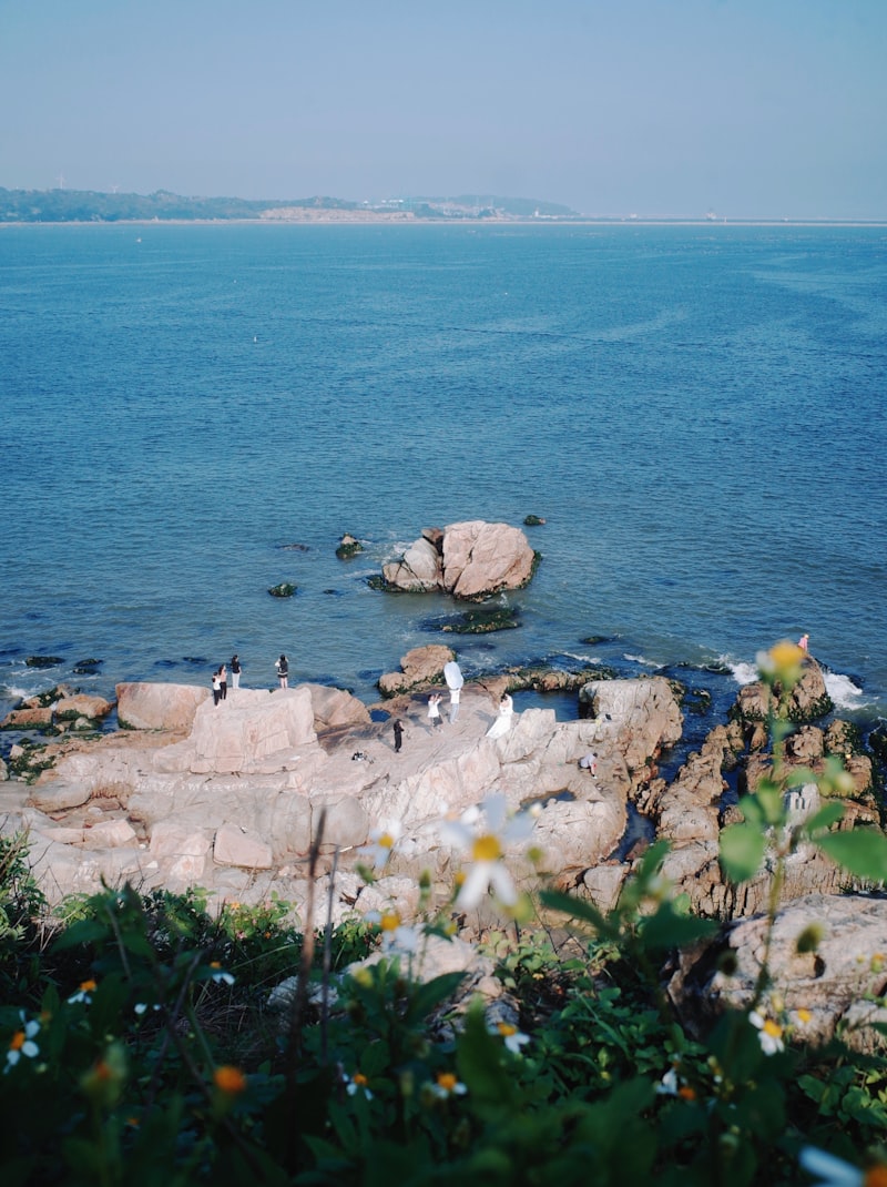 Karadeniz rehber Karadeniz rehber