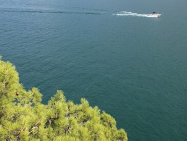 Karadeniz'de gezilecek en güzel şehir