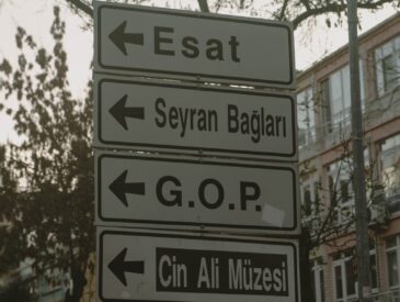 Romanya gezi