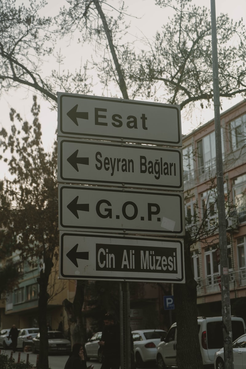 Romanya gezi