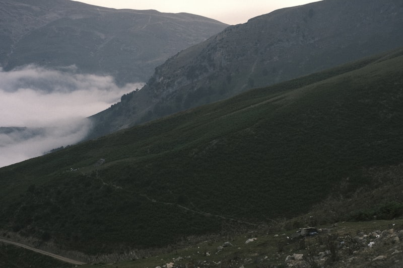 Tur gezileri yurtiçi