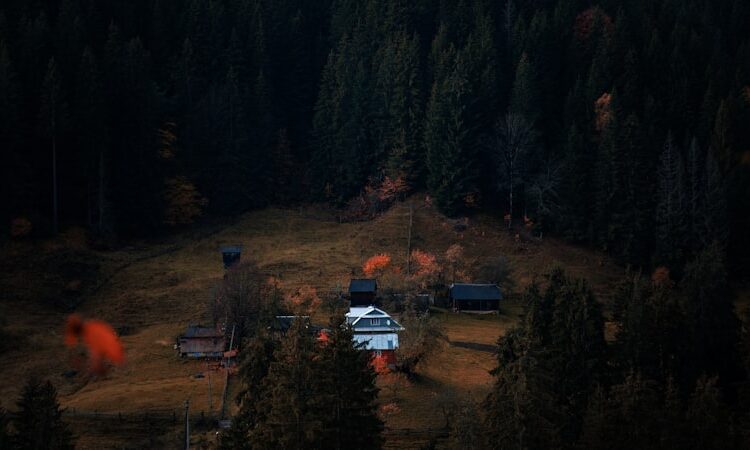 Yurt ici gezi turlari