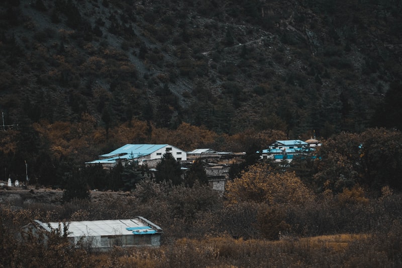 Yurtiçi gezileri